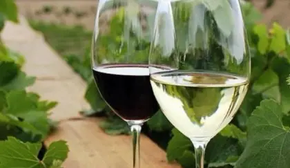 Vino tinto y blanco junto a las viñas de nuestra tierra